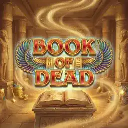 Book of Dead game at Skol Casino for United Kingdom players